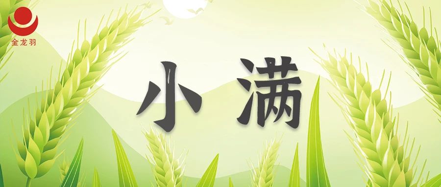 小滿 | 盈而未滿 誠信灌溉